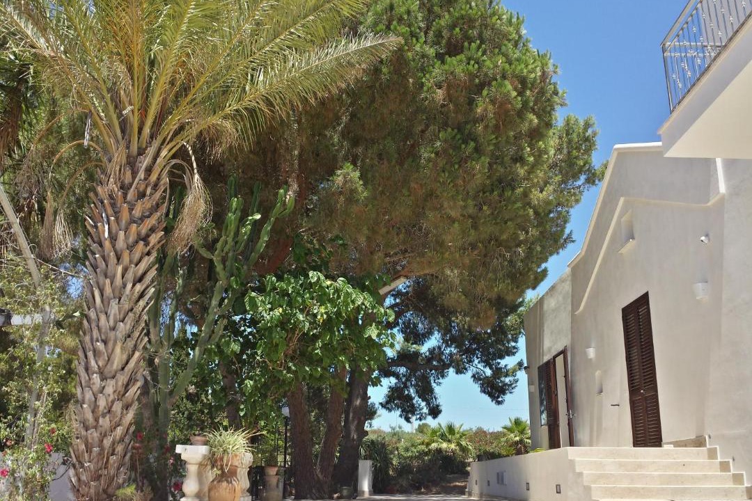 Photo of Others in Marsala