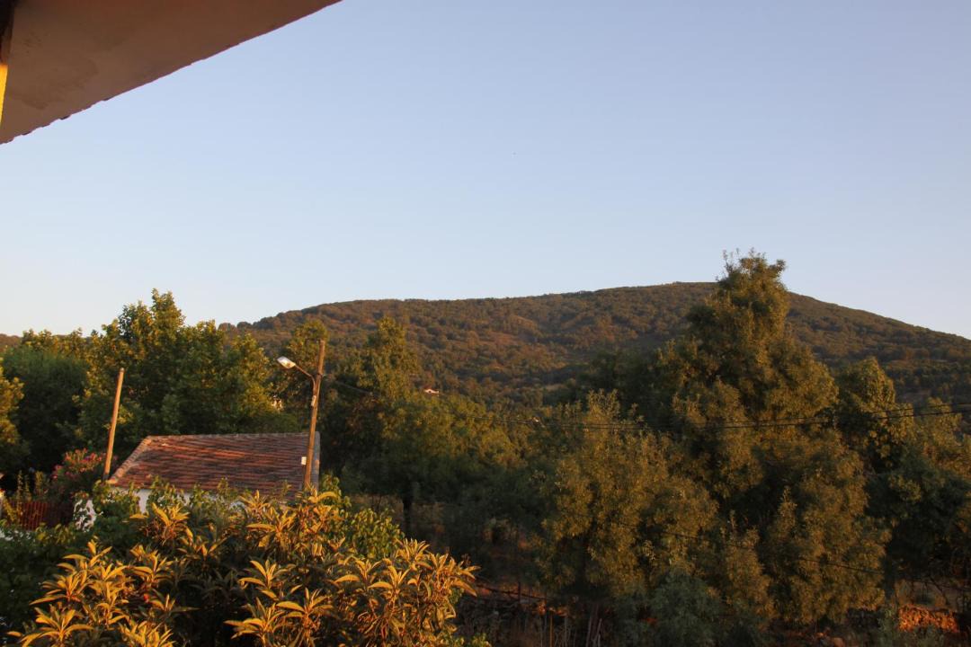Photo of Others in San Pablo de los Montes