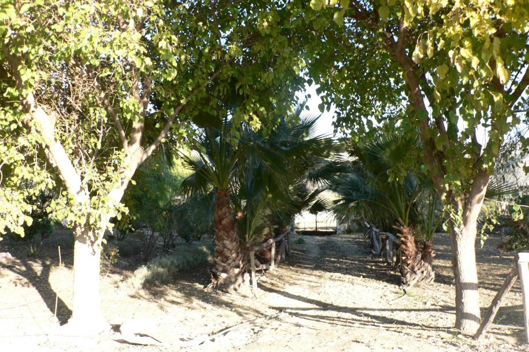 Photo of Others in Canete la Real