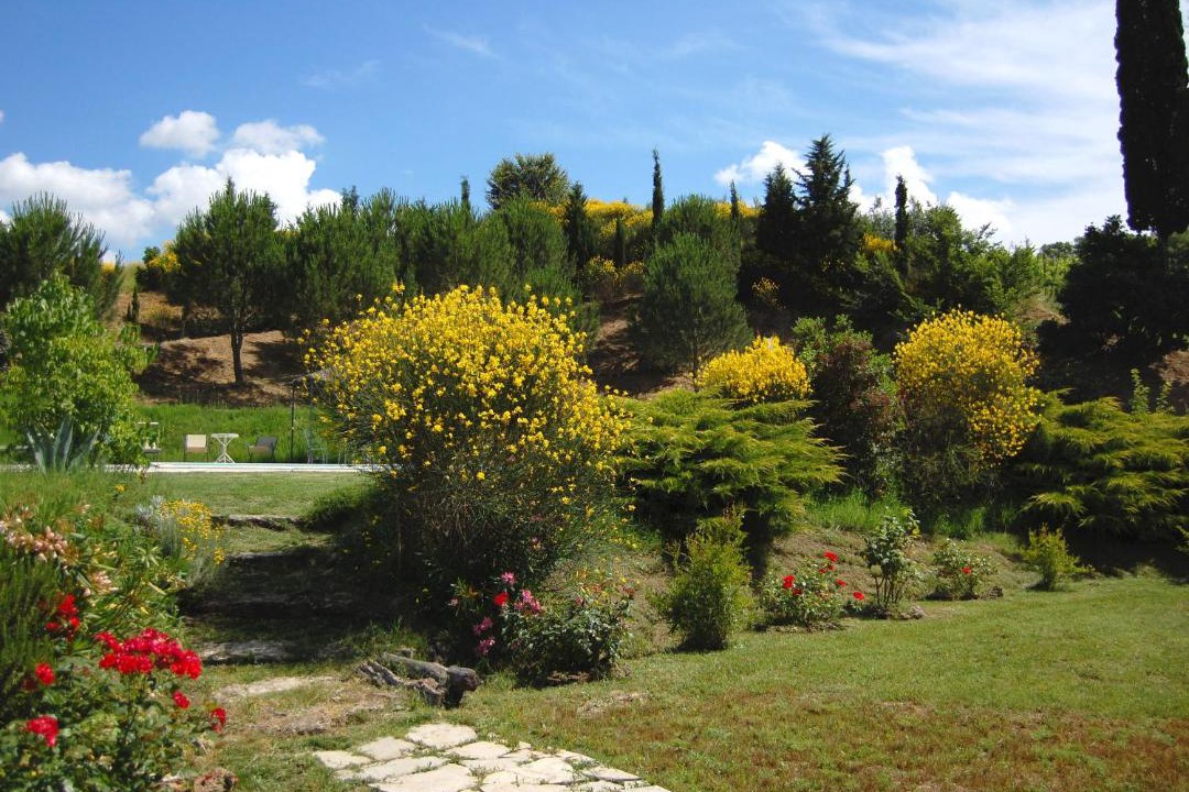 Photo of Outdoor in Armaiolo
