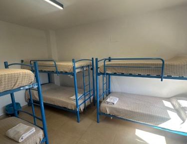 Bunk Bed in Mixed Dormitory Room