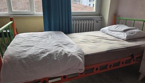 Bed in 10-Bed Mixed Dormitory Room