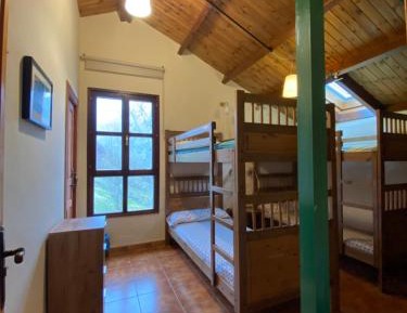 4-Bed Mixed Dormitory Room