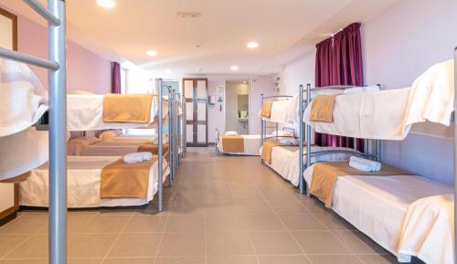 Bunk Bed in Mixed Dormitory Room