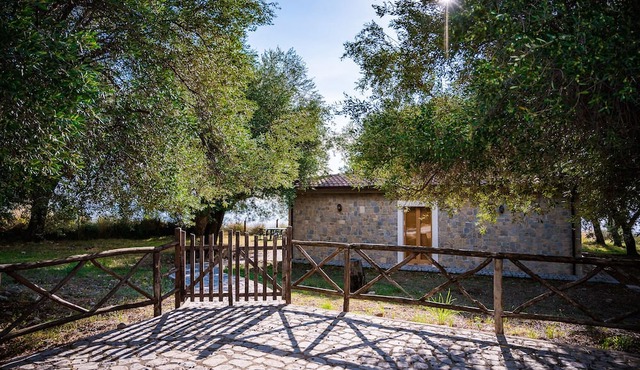Vacation home for 6 guests with 70m² in Marina di Pisciotta (162593)